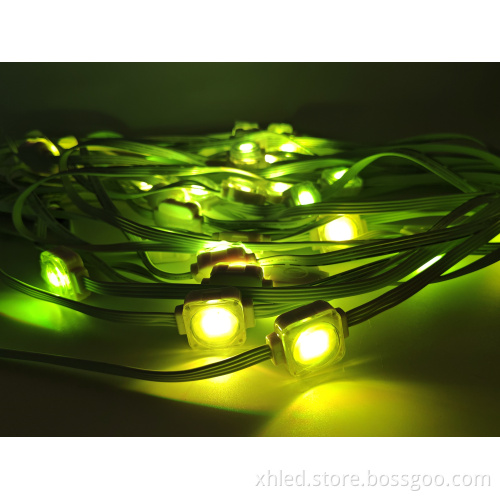 Outdoor Holiday LED Point Lights for Christmas Decorations